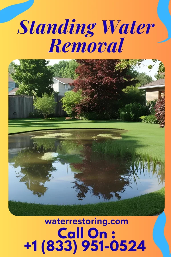 Standing Water Removal in Jonesboro, GA